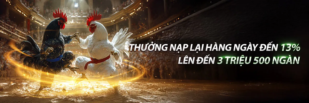 Hình ảnh nền cá cược thể thao nâng cao TF88